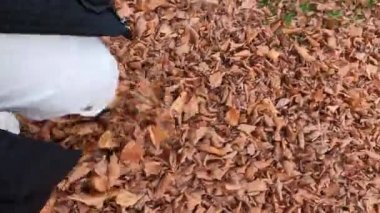 Bir insan sonbaharda portakallı akçaağaç yaprakları üzerinde yürür.