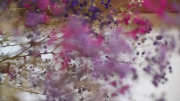 Verticale video. abstractie. veelkleurige gibsophila bloemen. — Stockvideo