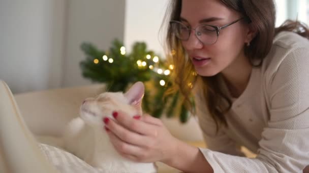Une fille avec un chat britannique rouge se trouve sur le canapé sur le fond de décorations de Noël — Video