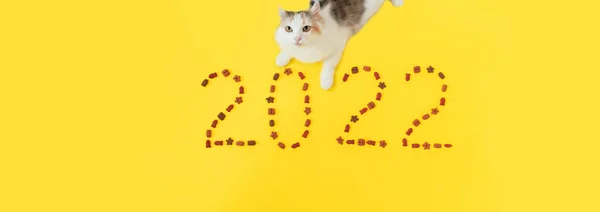 Cat and numbers 2022 made on isolated yellow background from kitten cat food — Stock Photo, Image