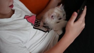 12 yaşındaki bir genç kollarında telefonla oynuyor. Küçük bir kedi yavrusu var. Telefon ekranına faiziyle bakıyor.