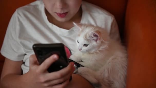 A 12 year old teenager plays on the phone in his arms. he has a little kitten looking at the phone screen with interest — Vídeo de Stock