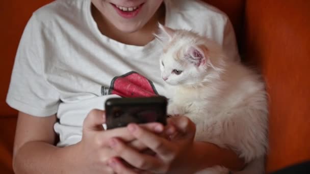 En 12-årig tonåring spelar i telefon i sina armar. han har en liten kattunge tittar på telefonskärmen med intresse — Stockvideo