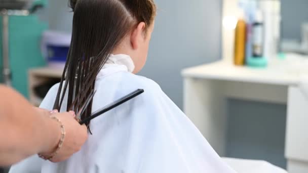 Mignonne petite fille se faire couper les cheveux dans un salon de beauté gros plan — Video