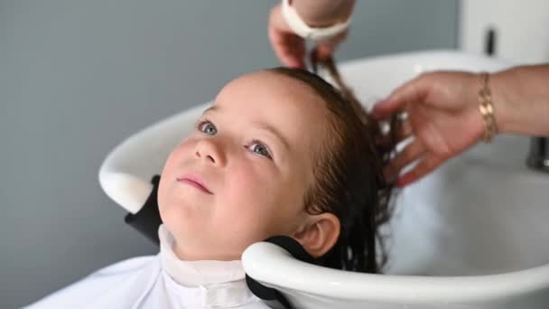 Cute girl child getting a haircut in the salon wash their hair — Stock Video