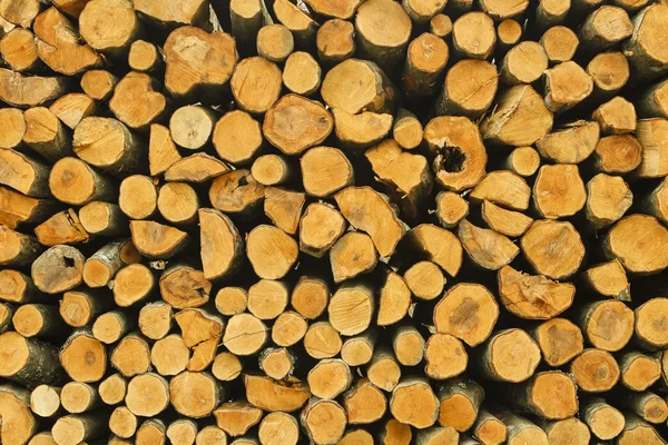 Hromadu řezu dřeva pařezu, brunche textury — Stock fotografie