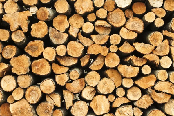 Hromadu středním dřeva pařezu, brunche textury — Stock fotografie
