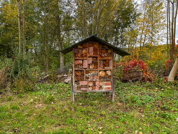 Великий Будинок Бджіл Осінньому Лісі — стокове фото