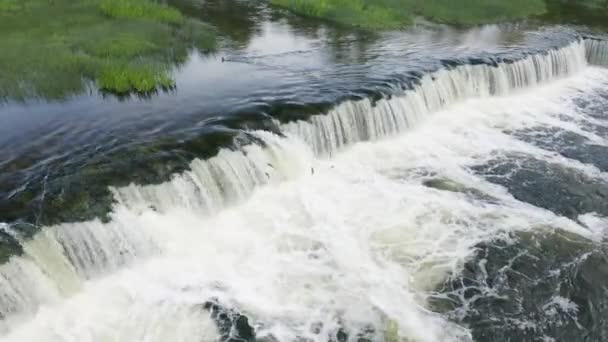 Atlanti Lazac Megy Fel Fehérvizű Folyón Keresve Ívóhelyet Kiváló Minőségű — Stock videók