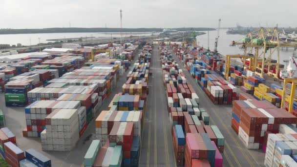 Vrachtcontainers Die Zijn Opgeslagen Een Wachtrij Haven Klaar Voor Uitvoer — Stockvideo