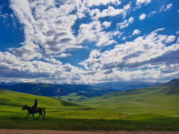 Kazakh Farmer His Horse Mountains Almaty Region — 스톡 사진