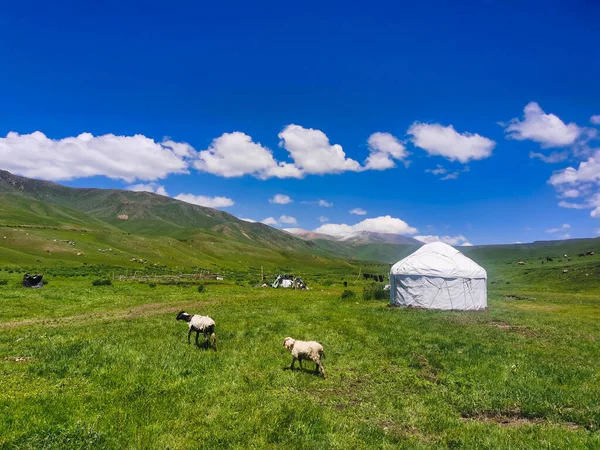 Yurts Mountain Farmers Kazakhstan Mountains Almaty Region — Foto de Stock