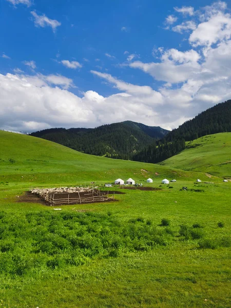 Mountain Pasture Farm Yurts Kazakhstan Mountains Almaty Region — Foto de Stock