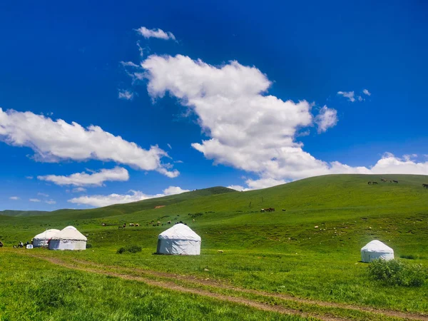 Yurts Mountain Farmers Kazakhstan Mountains Almaty Region Stockbild