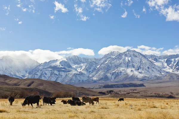 Góry Sierra nevada — Zdjęcie stockowe