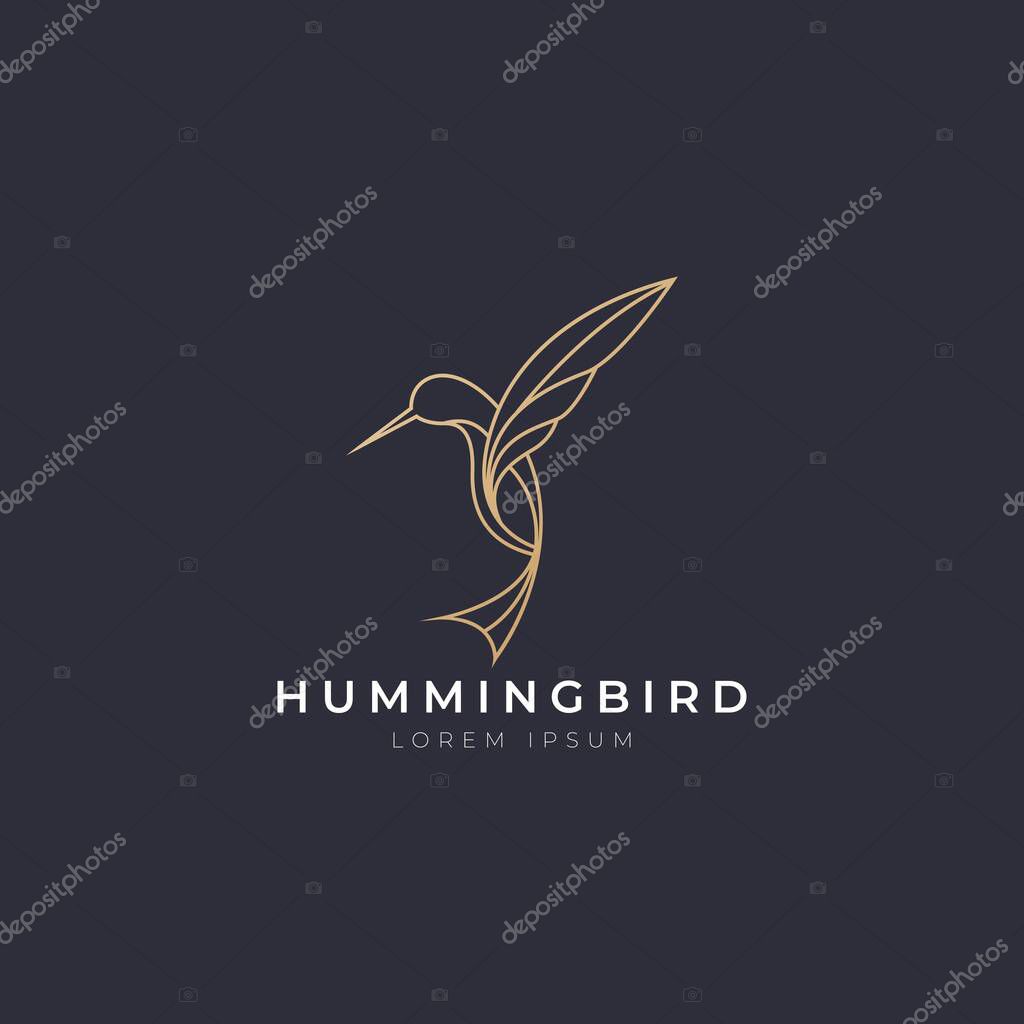 Hummingbird icon logo vector with modern luxury line gold color concept. Abstract humming bird with simple elegant style design vector.