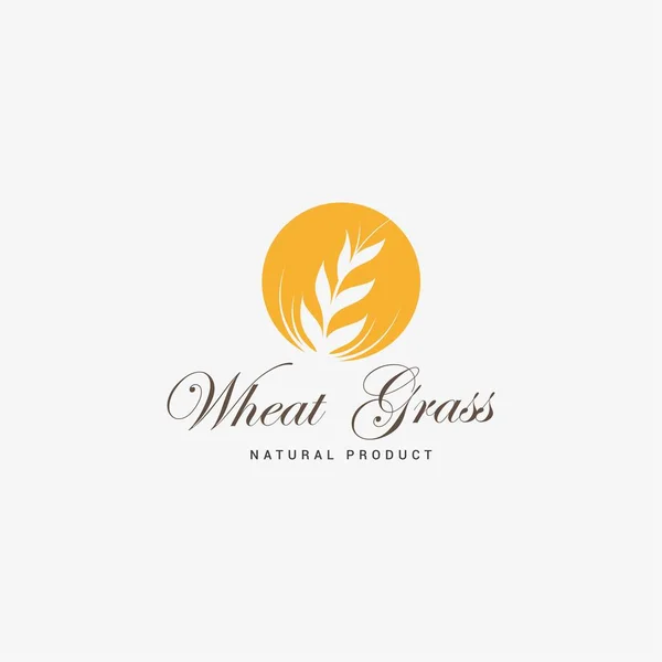 Wheat Grain Icon Logo Vector Design Simple Logo Farm Pastry — Stock Vector