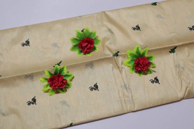 women Traditional White and Green Colour Saree Isolated on White Background