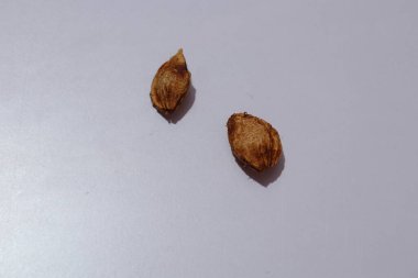  plums Seeds on an isolated white background