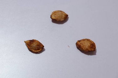  plums Seeds on an isolated white background