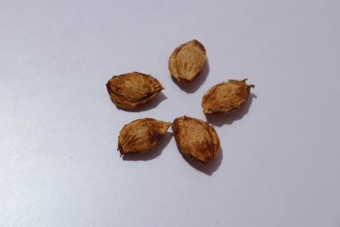  plums Seeds on an isolated white background