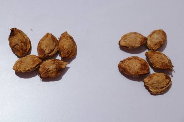  plums Seeds on an isolated white background