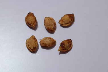  plums Seeds on an isolated white background