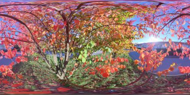 Kırmızı yeşil yaprak Röntgenci Sonbahar Sahnesi, Ağaç İçi, 360 Pano