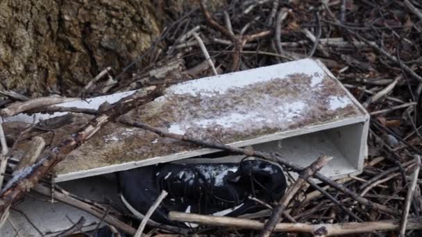 Estante y zapato en el suelo en el bosque, Basura, Contaminación en la naturaleza, Pan — Vídeos de Stock