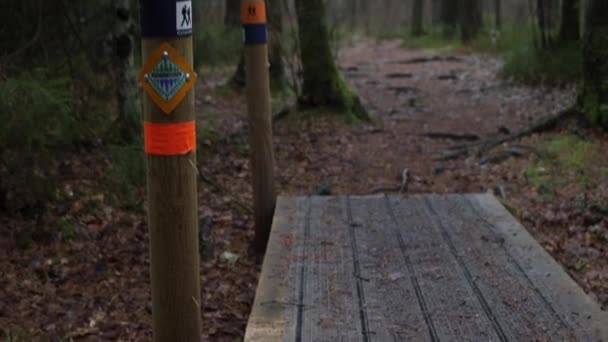 Pilgerweg-Schild weist Weg in den tiefen Wald, kippt um — Stockvideo