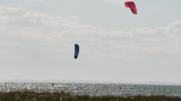 Kiteboarding eller Kitesurfing, blå och röd Kiter, Long Shot, Slow Motion — Stockvideo