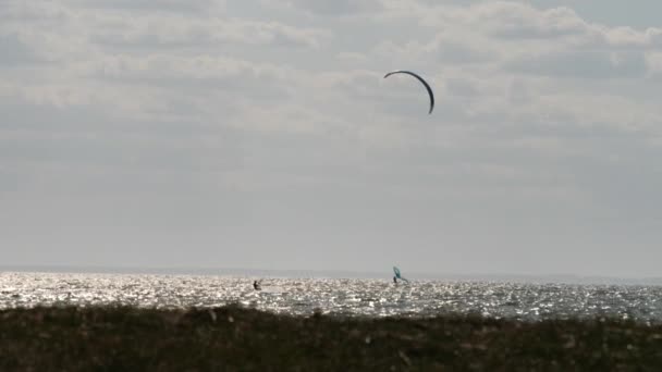 Två kitesurfare surfar till havs en solig dag, kopiera utrymme, Slow Motion — Stockvideo