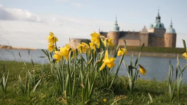 Spring Flower Kalmar Castle Background Pan High Quality Footage — Vídeos de Stock