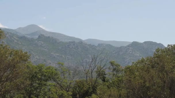 Forest Mountain Landscape Paklenica National Park Dalmatia Croatia High Quality — Stockvideo