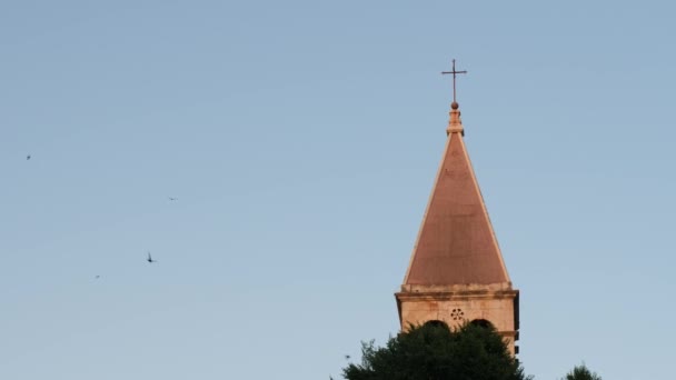 Church Tower Many Swallows Birds Split Historic Town High Quality — Vídeos de Stock
