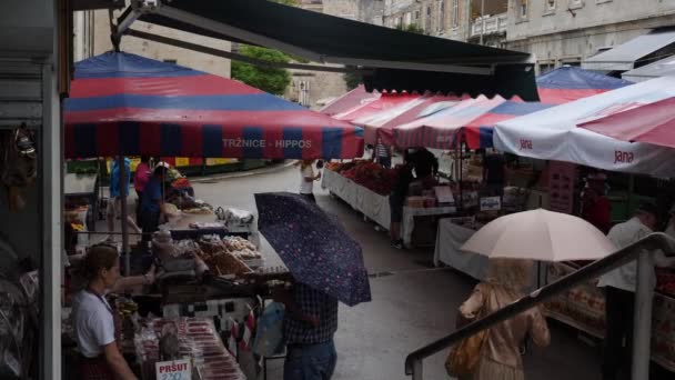 Split Croatia June 2022 People Umbrella Market Split Rain High — ストック動画