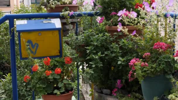 Decorative Mailbox Flower Pots Residential Neighborhood Close High Quality Footage — Wideo stockowe