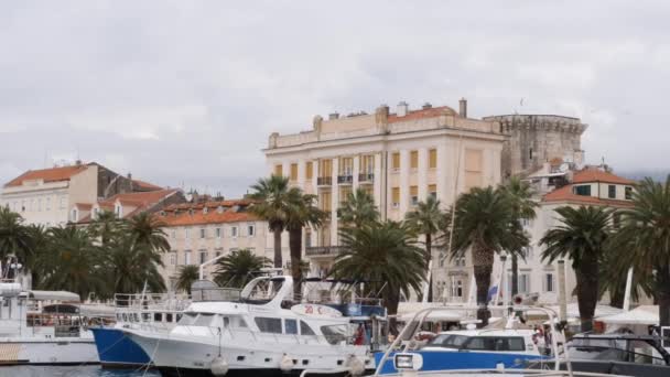 Yacht Boats Parked Split Marina Palm Trees Waterfront Background Pan — Vídeo de Stock