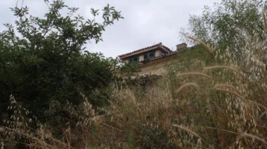 Croatian Vacation House Seen Between Shrubs and Tall Grass, Tilt Up. High quality 4k footage
