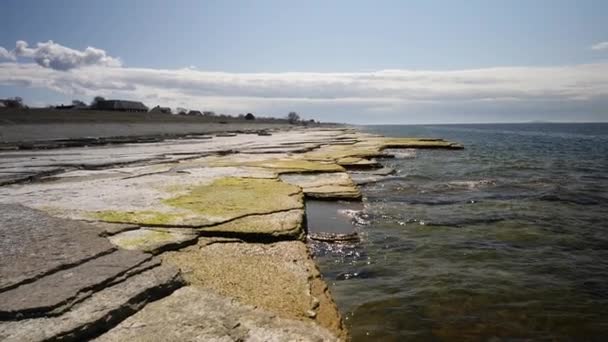 Kalksten Beach Natural Wonder Vid Neptunes Fält Öland Sverige Tilt — Stockvideo