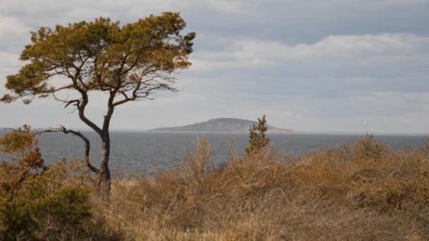 Установление Съемки Видом Море Национальный Парк Bla Jungfrun Оланд Айленд — стоковое видео