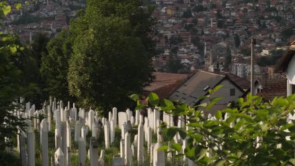 Sarajevo Kyrkogård Och Bergiga Stadsbilden Bosnien Etablera Skott Högkvalitativ Film — Stockvideo