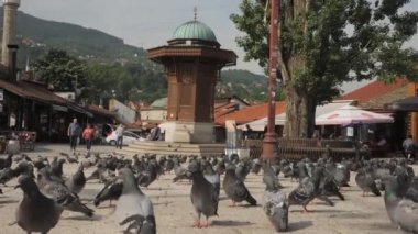Saraybosna, Bosna - 18 Haziran 2022: Sebilj, Bascarsija Eski Kenti önündeki meydanda güvercinler. Yüksek kalite 4k görüntü