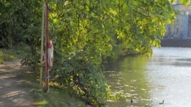 Yaz aylarında Göteborg 'un göbeğinde Nehrin yanındaki Lifebuoy. Yüksek kalite 4k görüntü