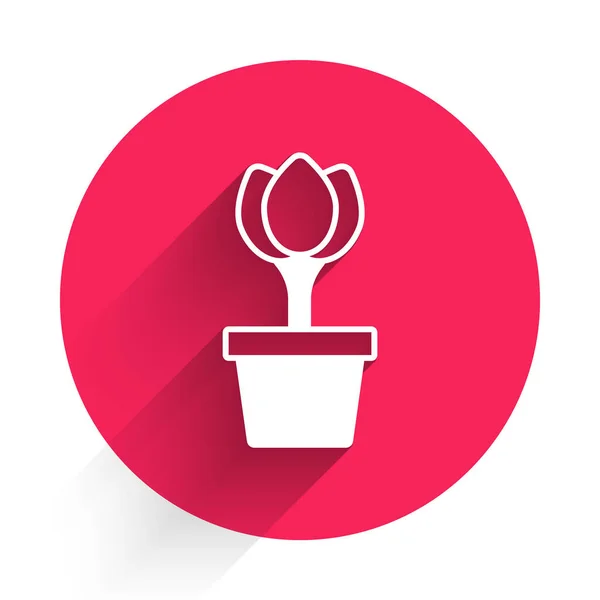 Vit blomma tulpan i kruka ikon isolerad med lång skugga. Växt som växer i en kruka. Krukväxt tecken. Röd cirkel knapp. Vektor — Stock vektor