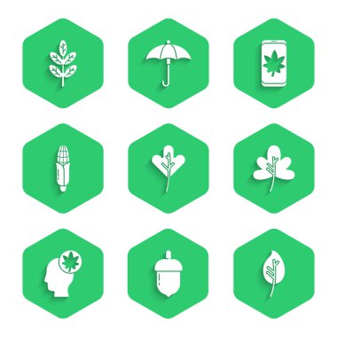 Yaprak ya da yapraklar, meşe palamudu, yapraklı insan kafası, mısır, cep telefonu ve ikon. Vektör