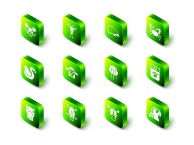 Zürafa kafası, kirpi, yengeç, yiyecek çantası, papağan, denizanası, gergedan ve yaban domuzu ikonu. Vektör