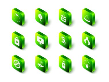 Yaprak ya da yaprak, organik kozmetik, karpuz, sarımsak, brokoli, vejetaryen sütü ve el yapımı bitki. Vektör