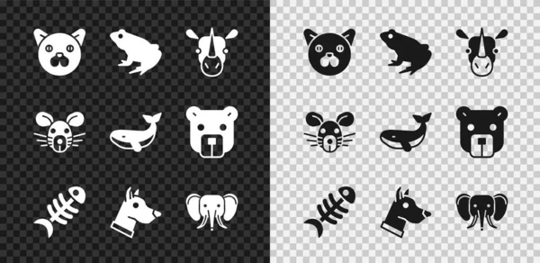 Set Icono gato, rana, rinoceronte, esqueleto de pez, cabeza de perro, elefante, rata y ballena. Vector — Archivo Imágenes Vectoriales
