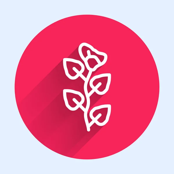 Witte lijn Ivy tak pictogram geïsoleerd met lange schaduw. Tak met bladeren. Rode cirkel knop. Vector — Stockvector